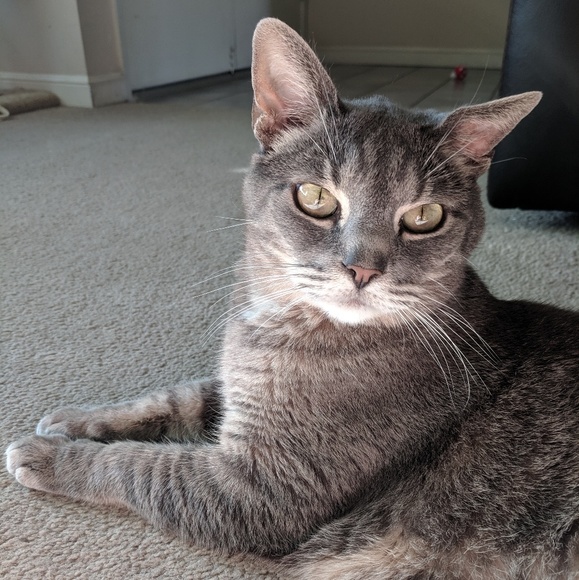 Meet Angie & Suki! - Picture 8 of 12